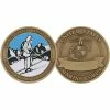 Deals 🤩 Challenge Coin USMC 29 Palms Mountain Warfare Training Center Coin 🥰 -Cheap military Store unnamed file 1041